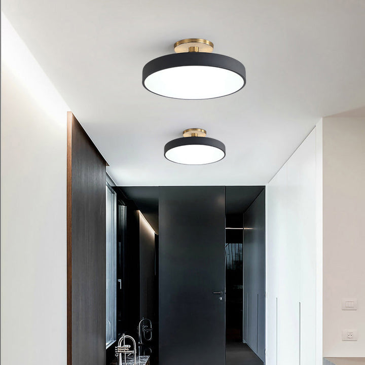 Artistic modern LED ceiling light fixture, decorative and energy-efficient home lighting.