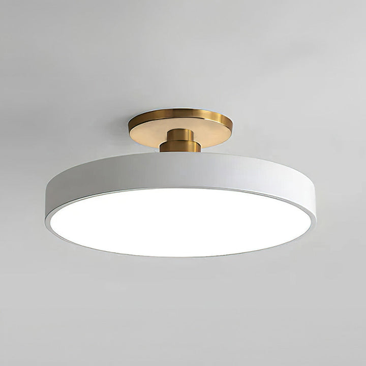 Modern LED ceiling light for living rooms, offering bright, customizable room lighting.