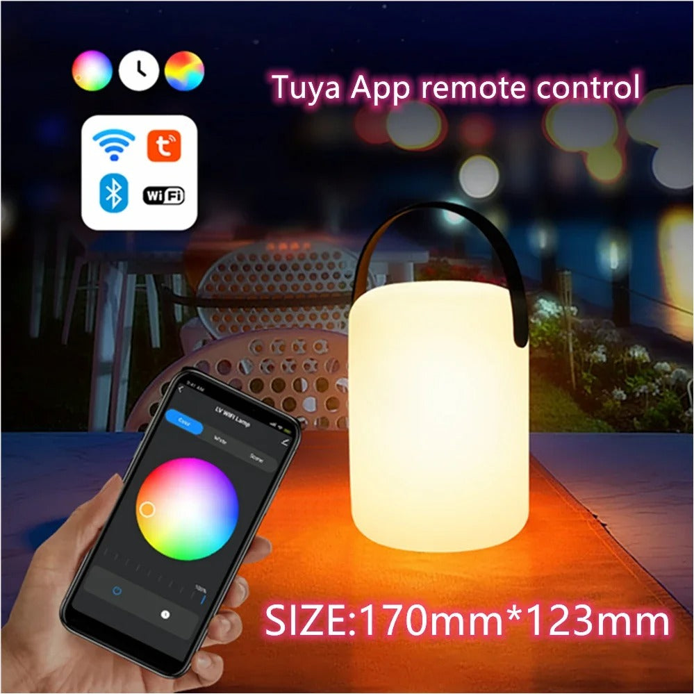 Modern portable cordless lamp with remote, perfect for indoor & outdoor ambient lighting.