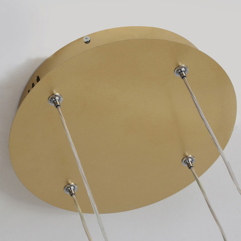 Contemporary LED ring pendant, a focal point in modern homes.