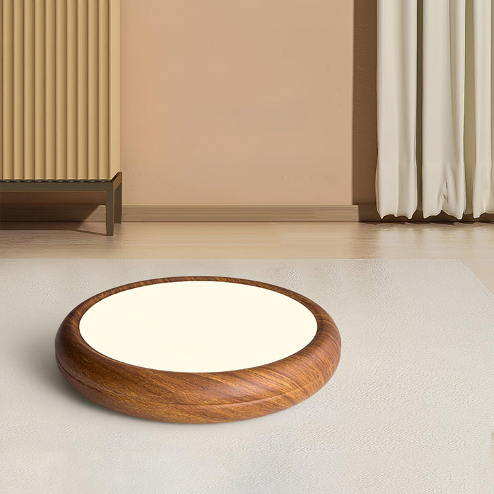Modern round LED ceiling light, flush mount, versatile for living or dining rooms.