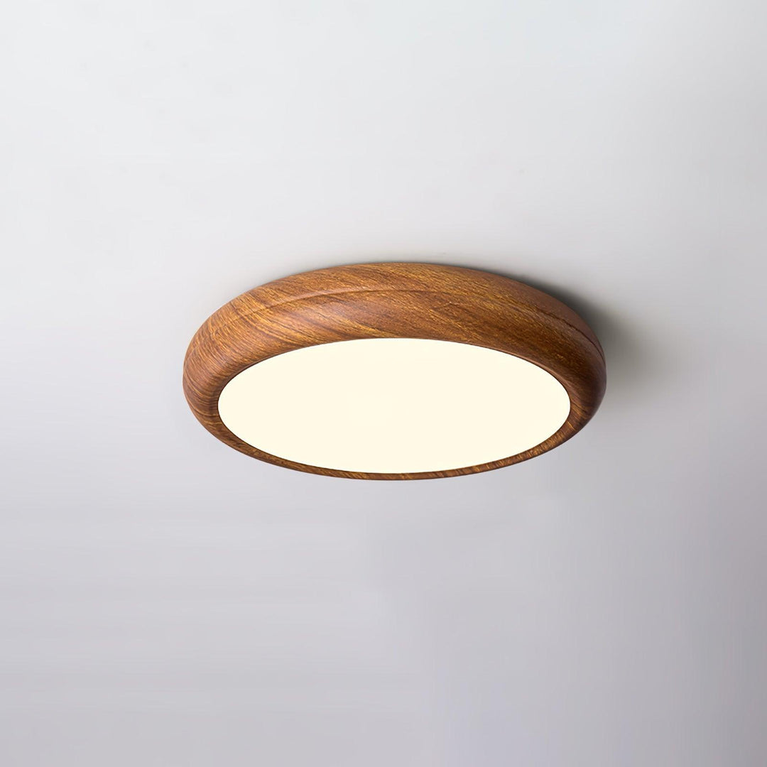 Modern round LED ceiling light, flush mount, energy-saving, dimmable features.