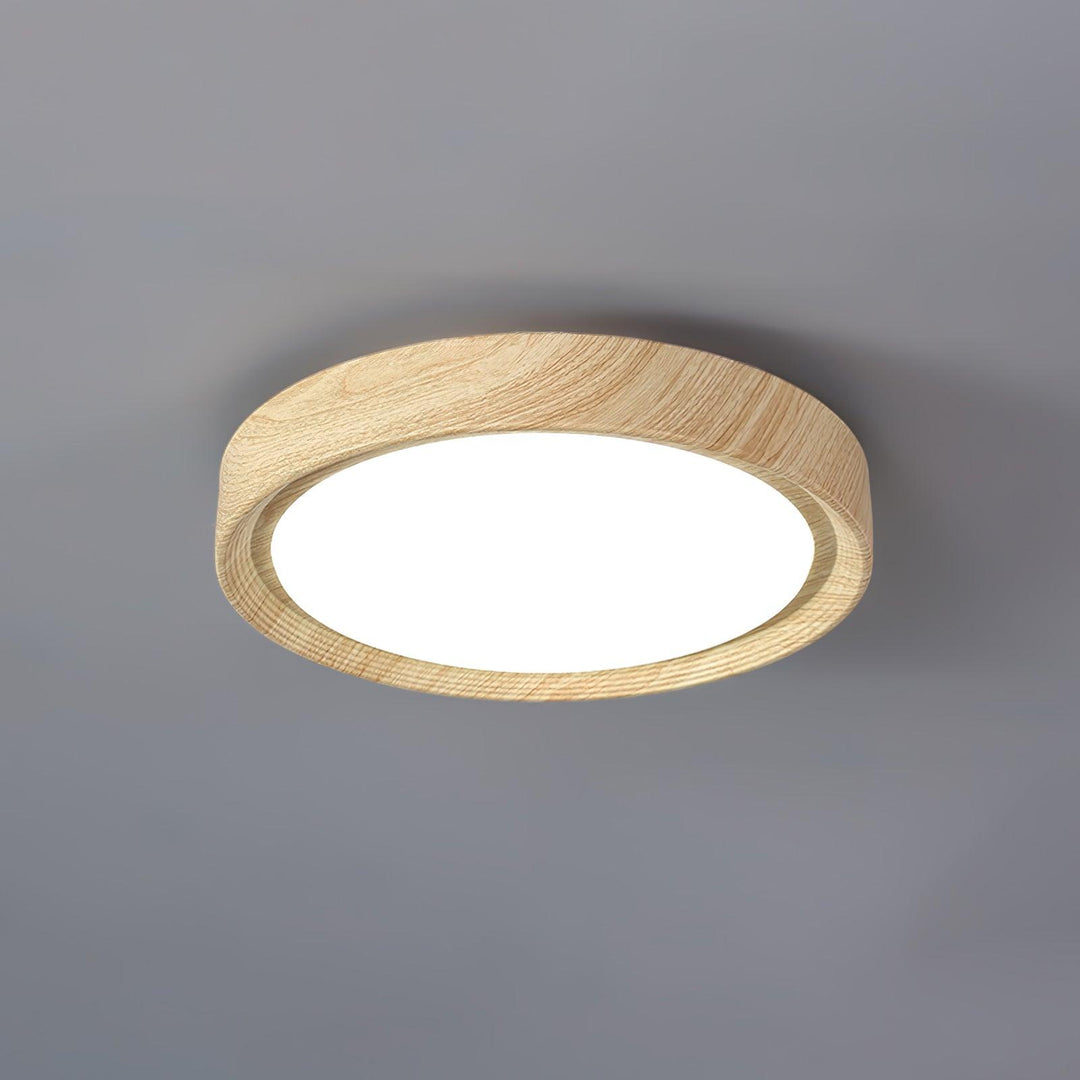 Modern home interior round LED ceiling light, flush mount, warm or cold choice.