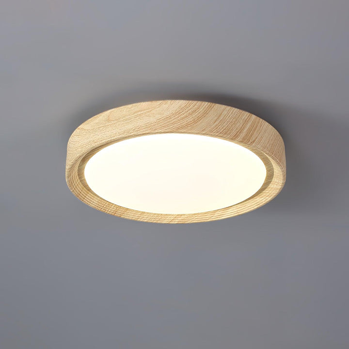 Flush mount LED round ceiling light, dimmable, modern style, suitable for any room.