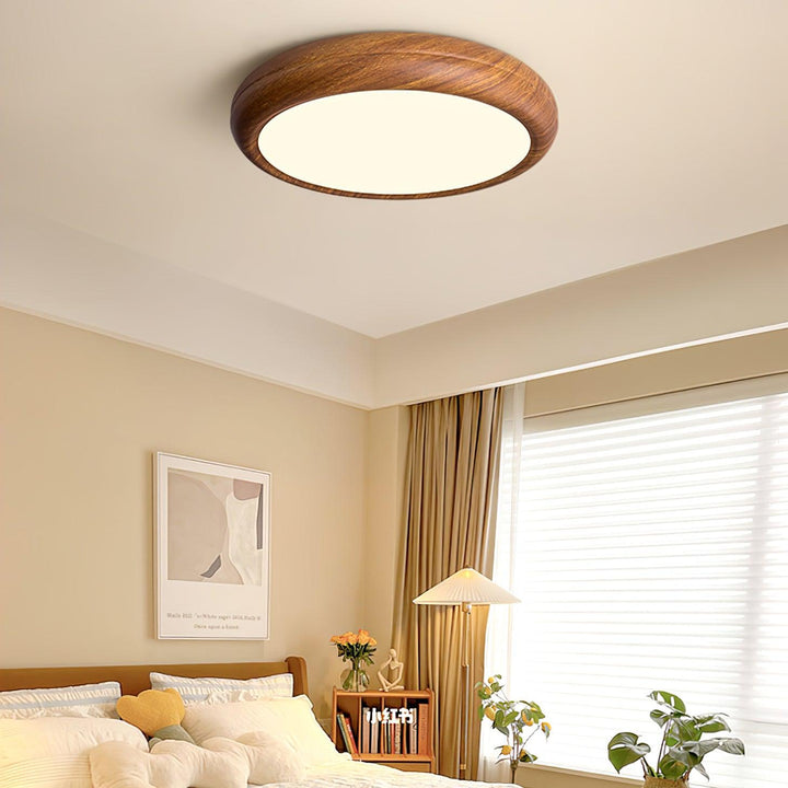 Flush mount round LED light, modern design, switchable warm and cold lighting.