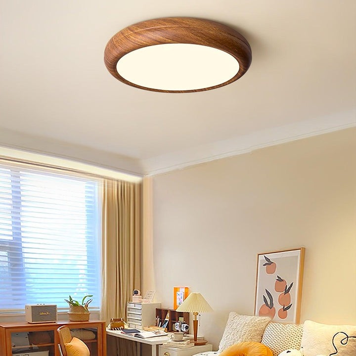 Round LED ceiling light, dimmable warm & cold, flush mount, contemporary style.