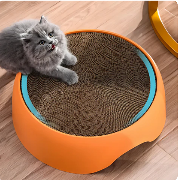 Cozy cat bed featuring a sisal scratching surface and plush cushion for ultimate feline comfort.
