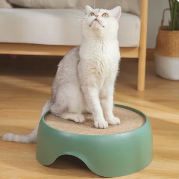Stylish cat scratcher and bed combo, perfect for active cats and luxurious pet lounge.