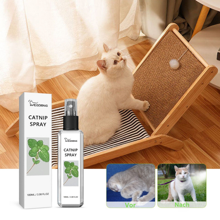 Natural Cat Play & Calming Spray with silvervine for feline wellness. Pet care stress relief & play enhancer.