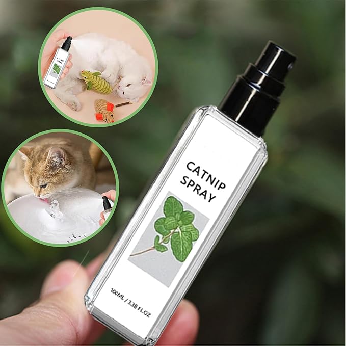 Silvervine cat spray, a natural ingredient for feline wellness. Promotes calming & enhances play for cats.
