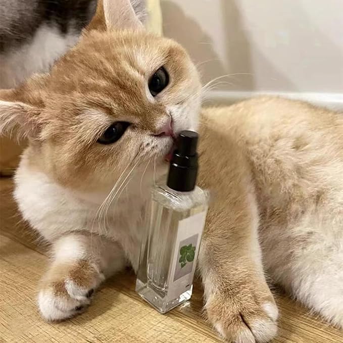 Stress relief cat spray for anxious cats. Natural silvervine helps calm & promote feline wellness and relaxation.