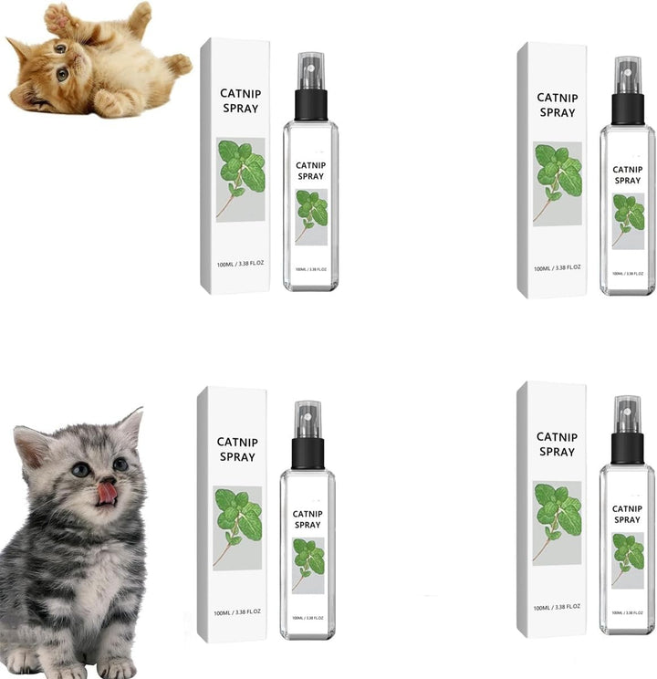 Feline wellness spray for cats. Natural silvervine calms stress & encourages playful behavior. Pet care.