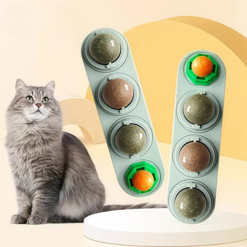 NipNest interactive wall cat toy with catnip for dental health and enrichment.