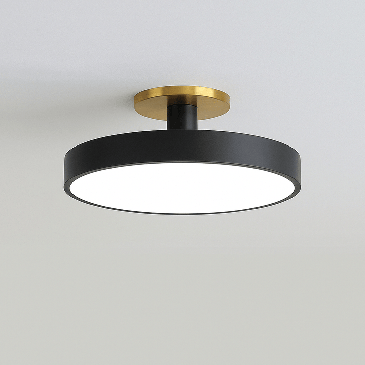 Nordic LED ceiling light for modern homes, sleek flush mount design.