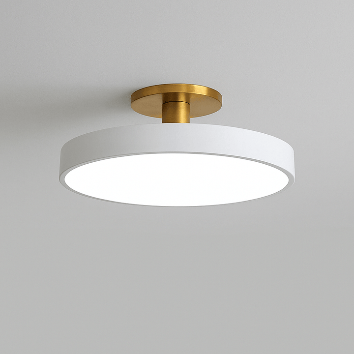 Contemporary Nordic design LED ceiling light, a modern accent for any room.