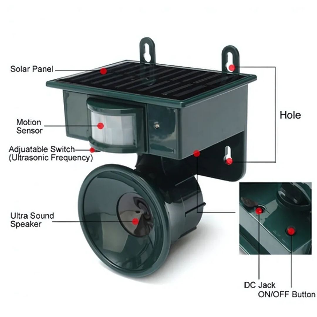 Outdoor solar powered repeller, detects motion to scare away nuisance animals.