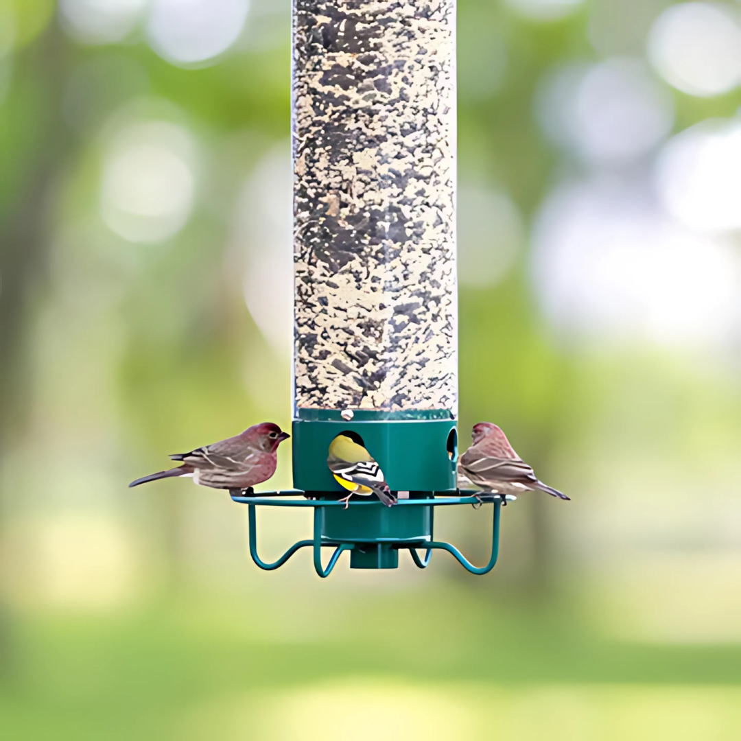 Outdoor squirrel-proof bird feeder with clear seed holder and spinning perch for garden wildlife.