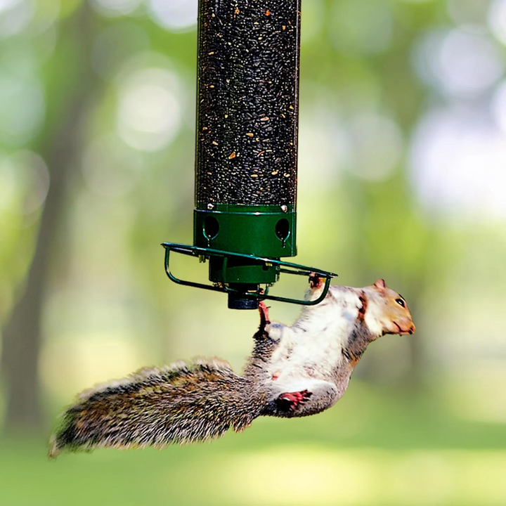 Durable outdoor hanging bird feeder with a unique spinning perch, designed to deter squirrels.