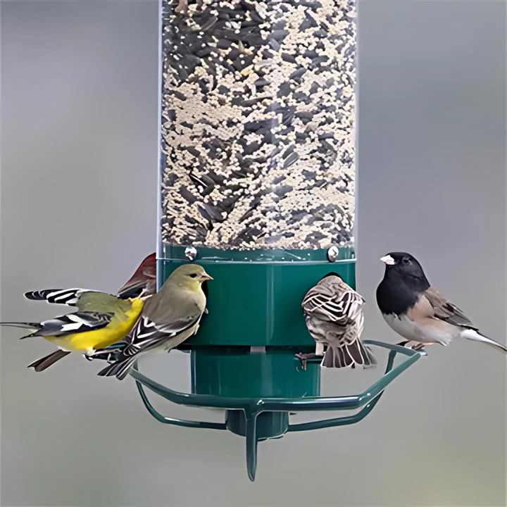 Garden decor: elegant squirrel-proof bird feeder for wild birds, featuring a protective spinning perch.