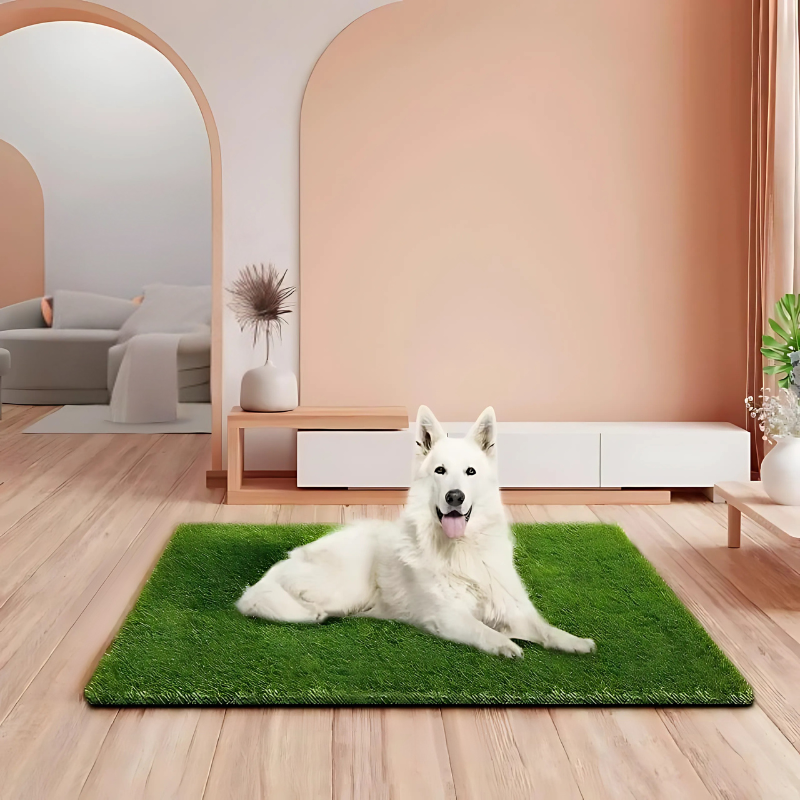 PawLawn pet grass mat for outdoor comfort and dog potty training.