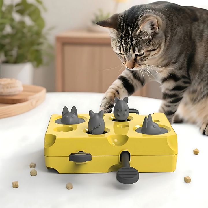 PawPounce interactive cat toy with multiple balls for mental stimulation and fun.