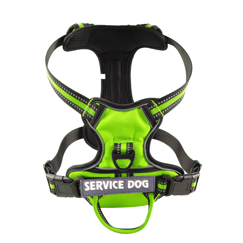 Pet safety Y-shape dog harness, personalized with custom text, ensuring secure and comfortable walks.