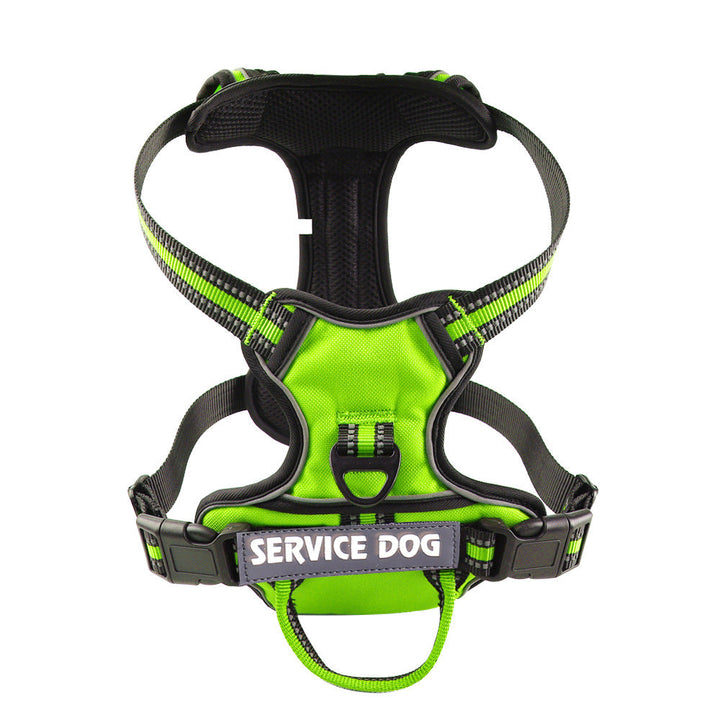 Pet safety Y-shape dog harness, personalized with custom text, ensuring secure and comfortable walks.