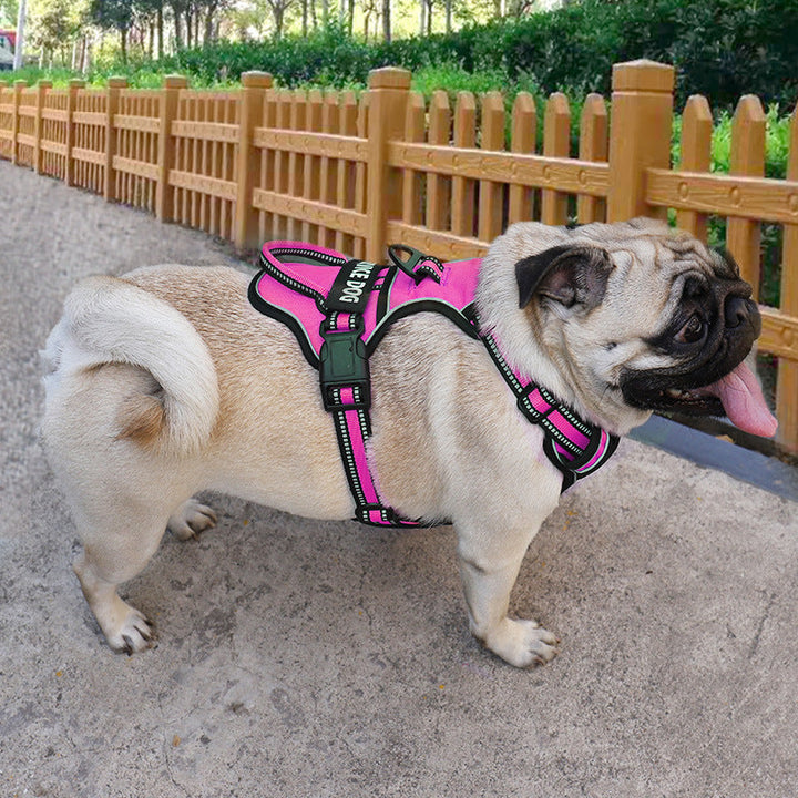 Reflective Y-shape dog harness, personalized for safety during night walks. Comfortable & durable pet gear.