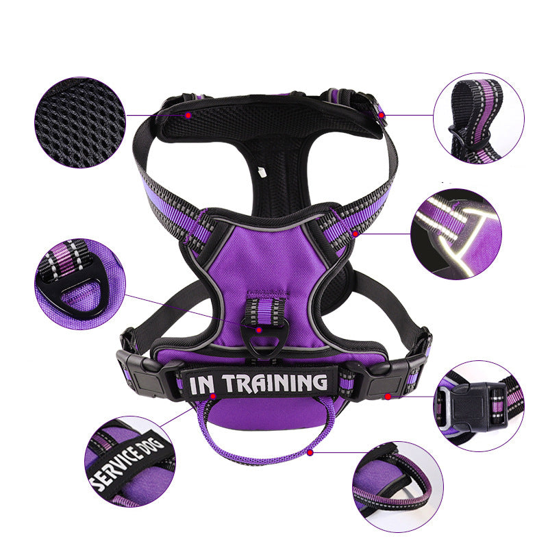 Custom Y-shape dog harness, black, adjustable for perfect fit & ultimate dog comfort. Ideal for daily walks.
