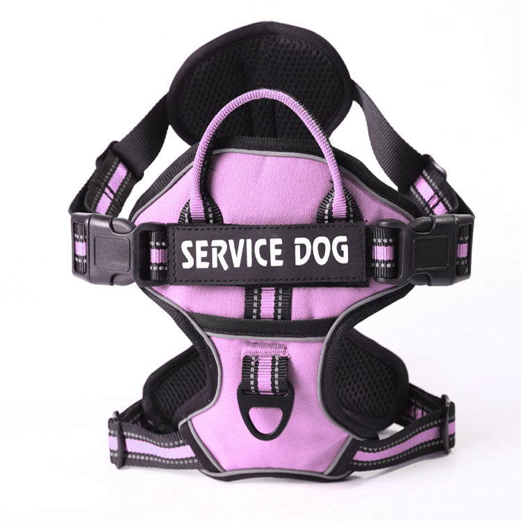 Comfortable Y-shape puppy harness, personalized with pet's name, ensures safe & happy training sessions.