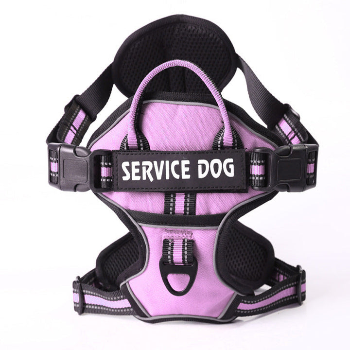 Comfortable Y-shape puppy harness, personalized with pet's name, ensures safe & happy training sessions.