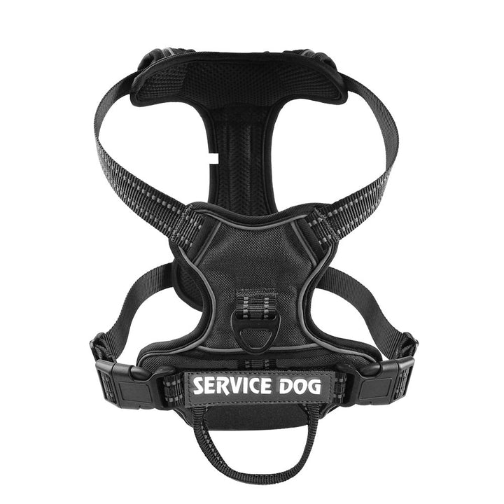 Y-shape dog harness with reflective stitching, personalized for secure & visible walks, enhancing pet safety.