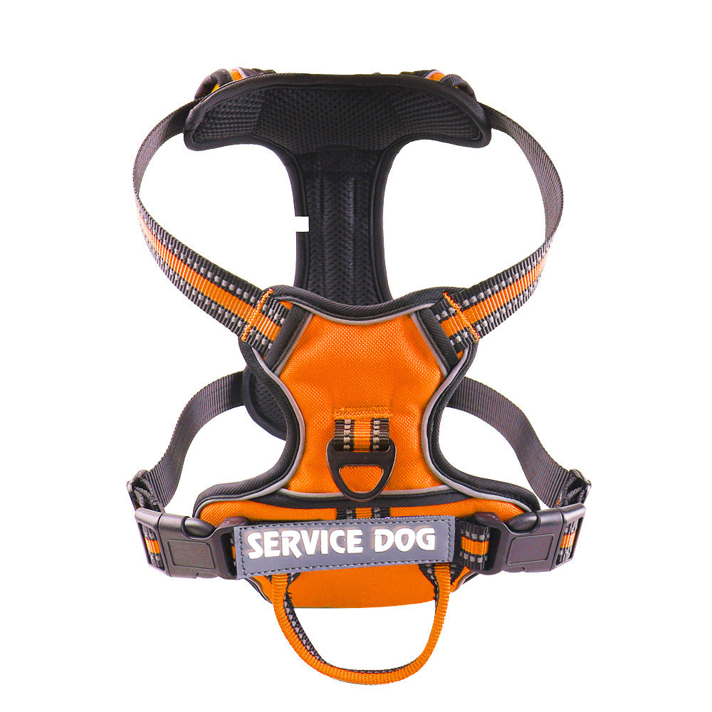 Y-shape no-pull dog harness, personalized with name, designed for comfortable and safe walking control.