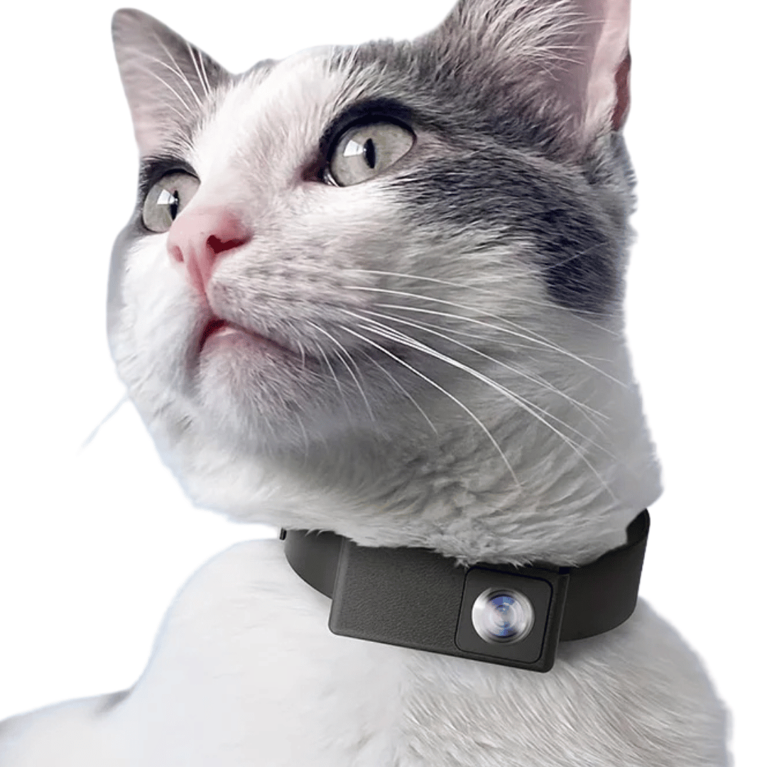 Pet Collar Camera with HD 160° view for dogs & cats. Capture their adventures in 1080p.