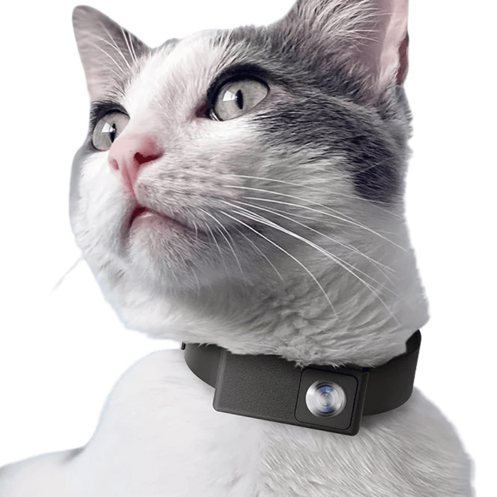 Pet Collar Camera with HD 160° view for dogs & cats. Capture their adventures in 1080p.