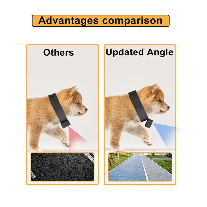 Durable pet collar camera designed for active dogs & curious cats. Records HD 1080p 160° video.