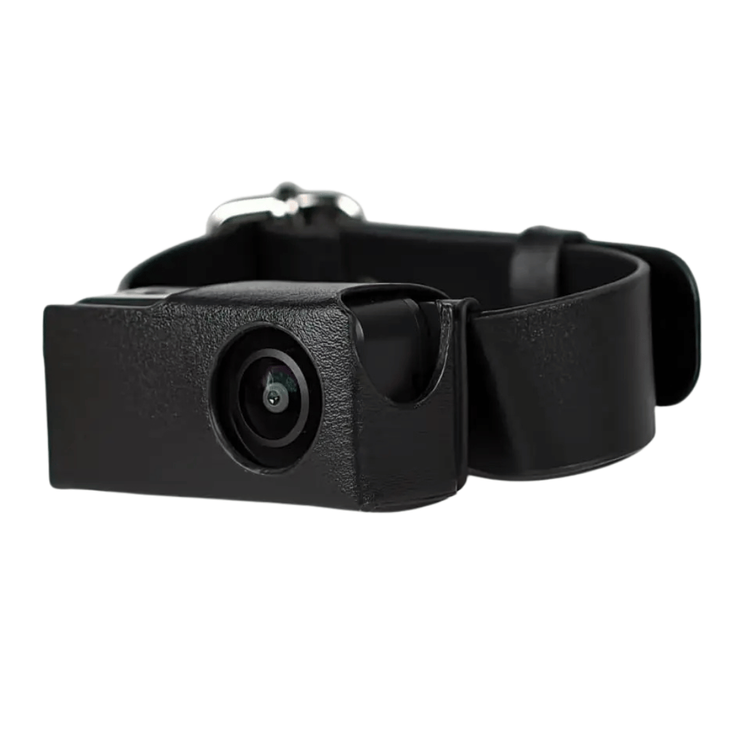 Dog wearing a pet collar camera, recording their walk in HD 1080p. Features 160° wide view.