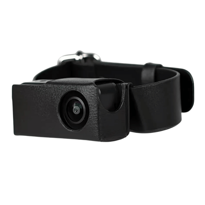 Dog wearing a pet collar camera, recording their walk in HD 1080p. Features 160° wide view.