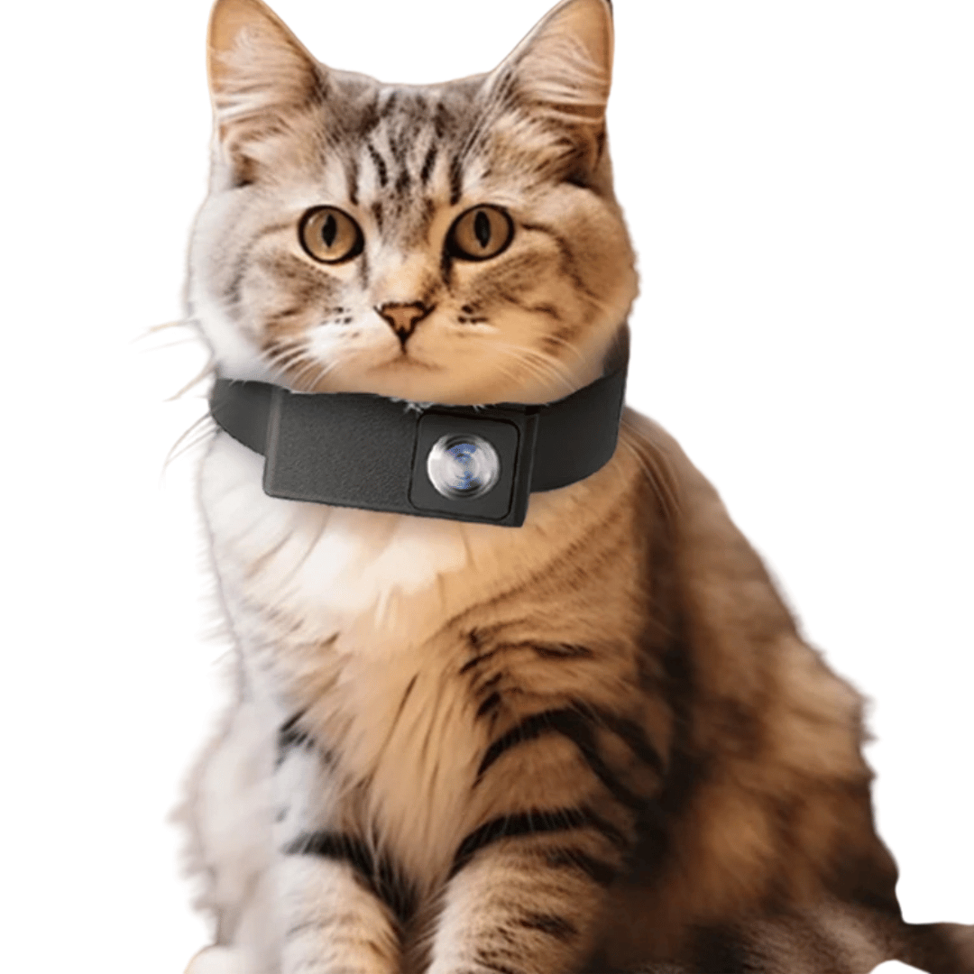 Close-up of compact pet collar camera, sleek design for dogs & cats. HD 160° view for pet video.
