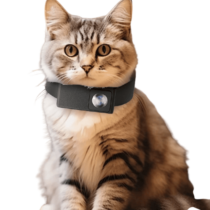 Close-up of compact pet collar camera, sleek design for dogs & cats. HD 160° view for pet video.