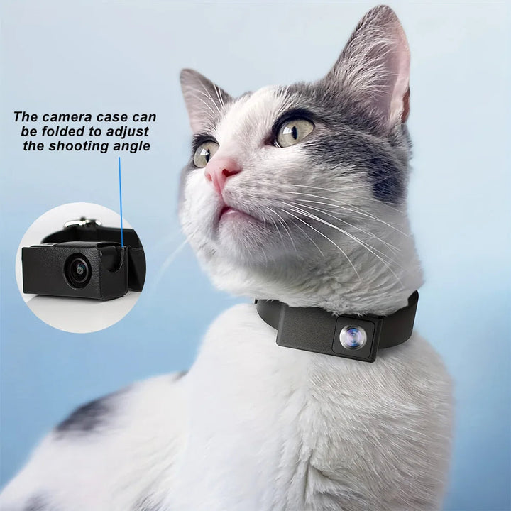 Pet camera attached to a dog's collar, ready to capture 1080p video of daily activities.