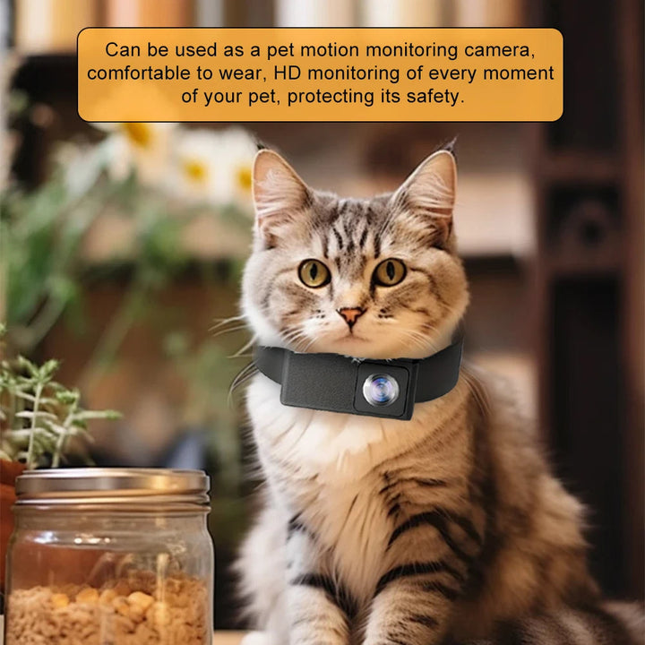High-definition 1080p pet camera for collars, giving a unique 160° view from your dog or cat.
