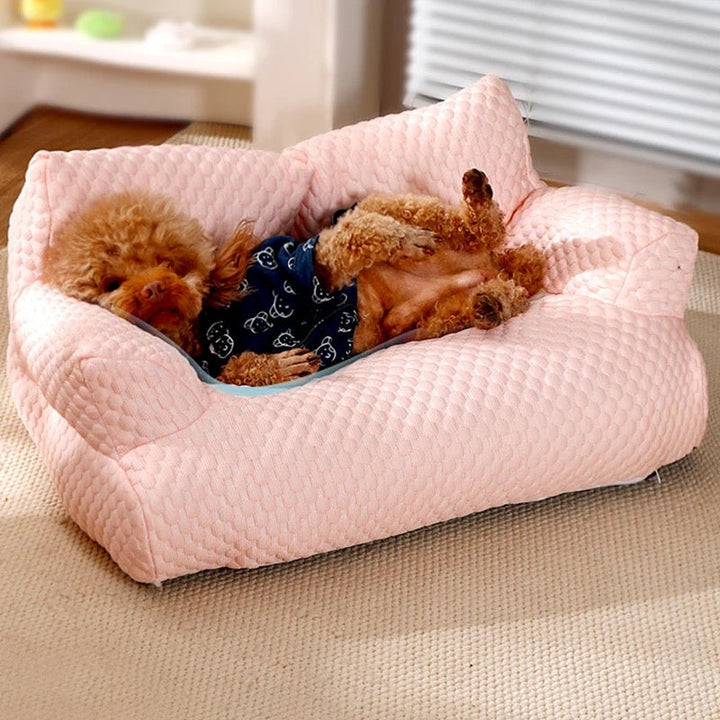 Summer pet essential: a washable, breathable cooling dog bed and supportive pet sofa for comfort.