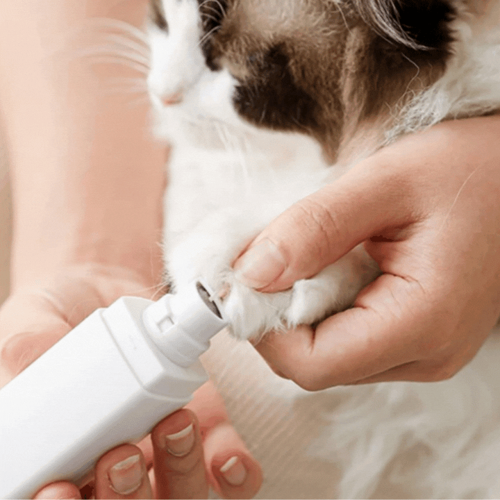 Gentle electric pet nail grinder with LED for stress-free dog & cat claw care.