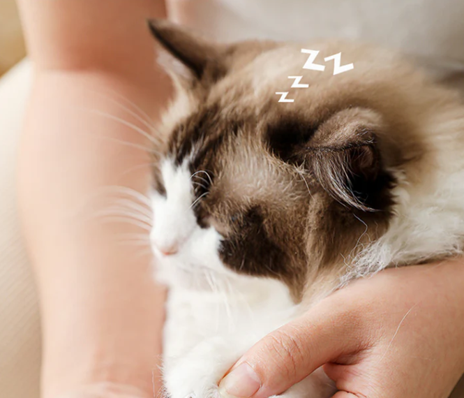 Digital pet claw grinder, quiet motor, LED display for precise dog & cat nail grooming.