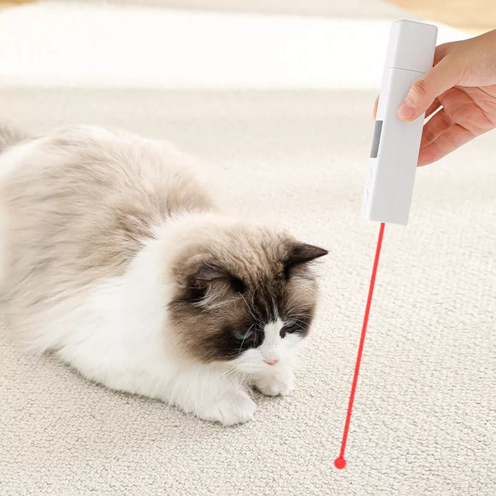 Pet's quiet electric claw grinder with LED display for gentle dog & cat nail care.