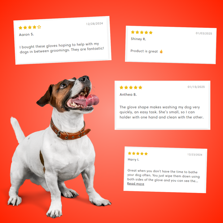PetPure no-rinse pet bath wipes in a glove format for easy dog and cat grooming.