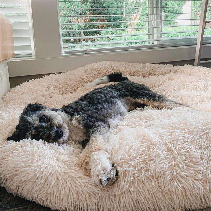 Soft faux fur donut dog bed providing anxiety relief & deep comfort for small to large dogs.