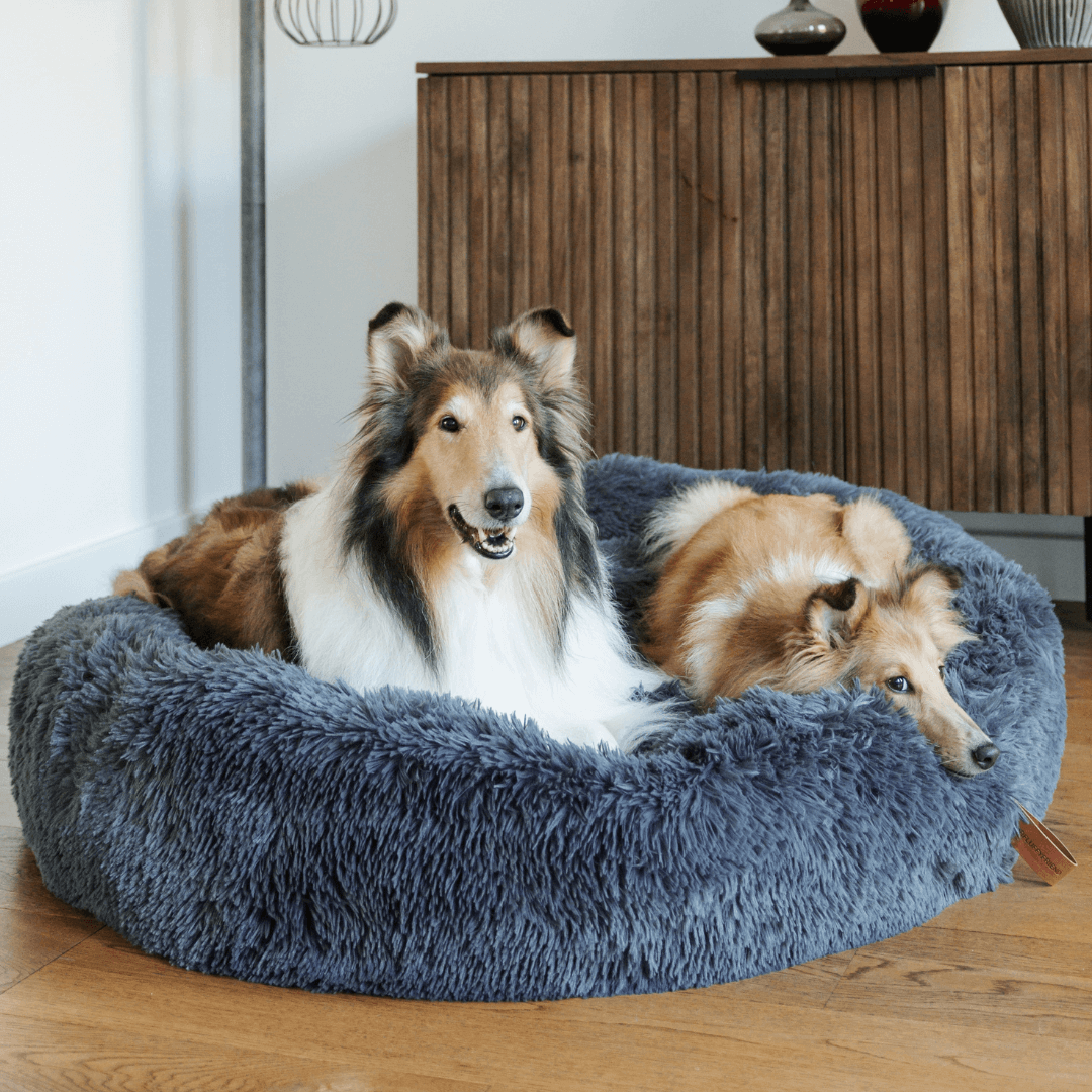 Washable plush dog bed, a calming donut design for anxious dogs, offering ultimate comfort & support.