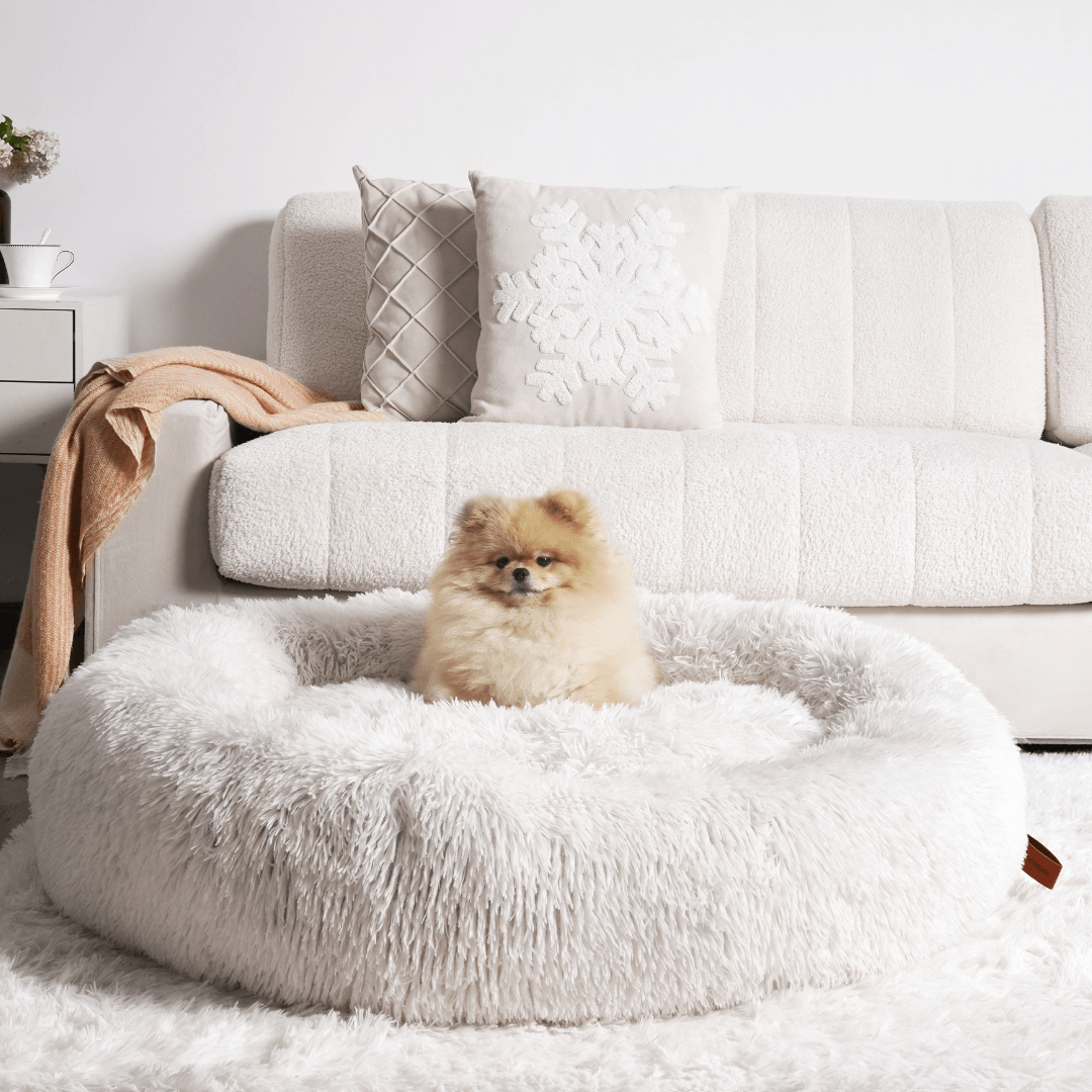 Comforting pet bed: a fluffy donut dog bed promoting anxiety relief and peaceful sleep for your canine.